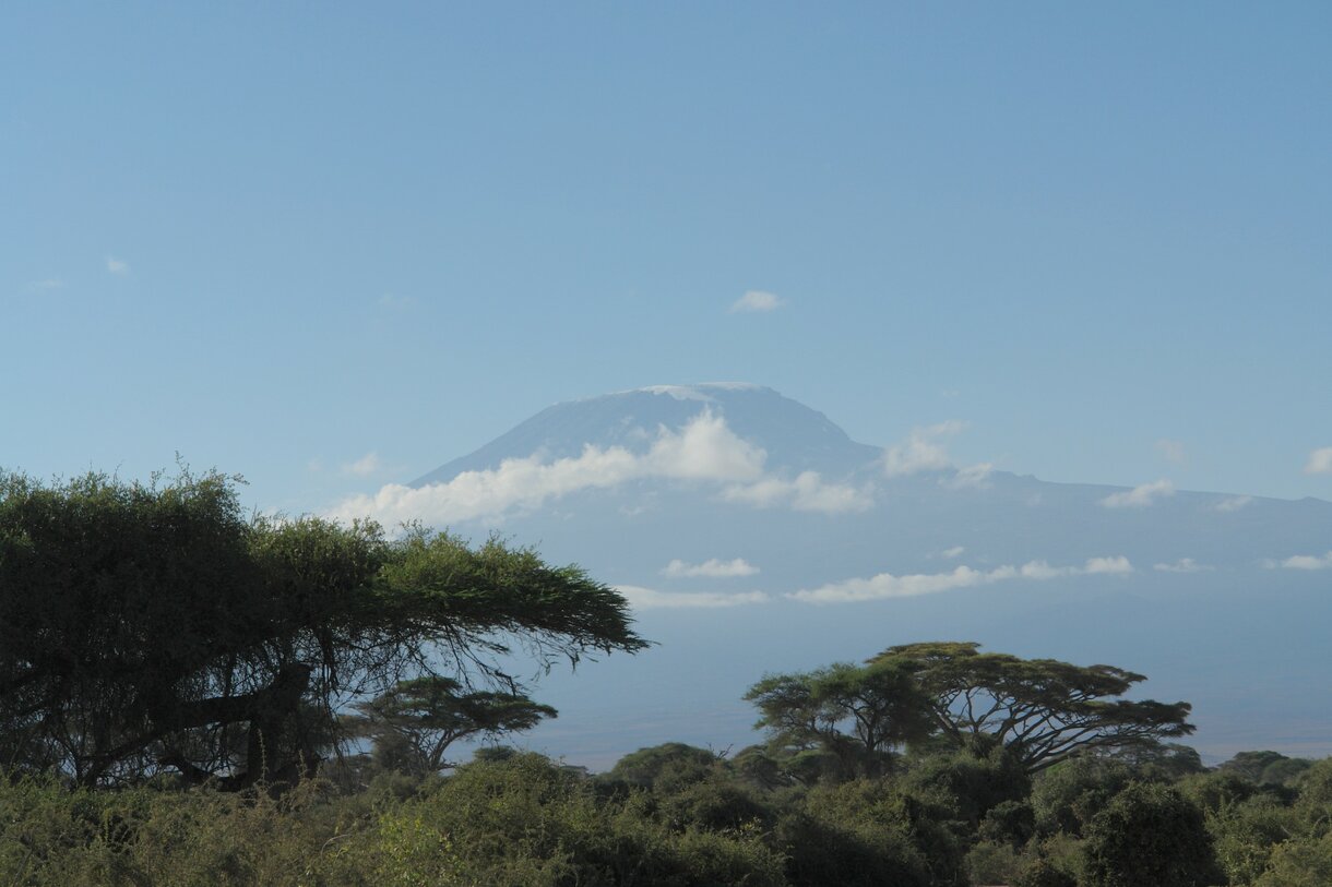 Kilimanjaro