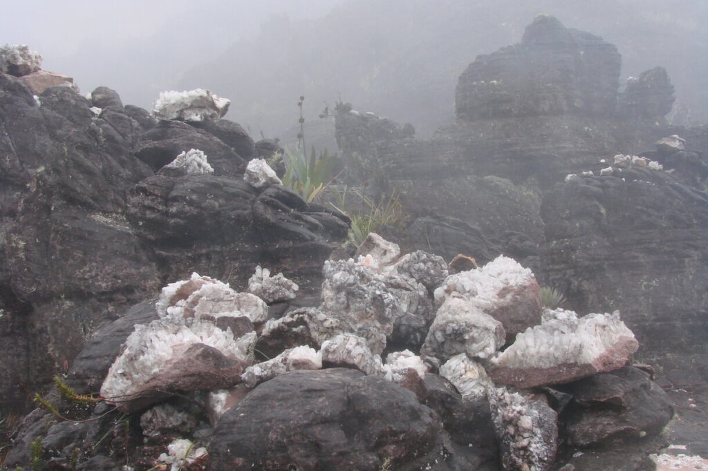 Roraima