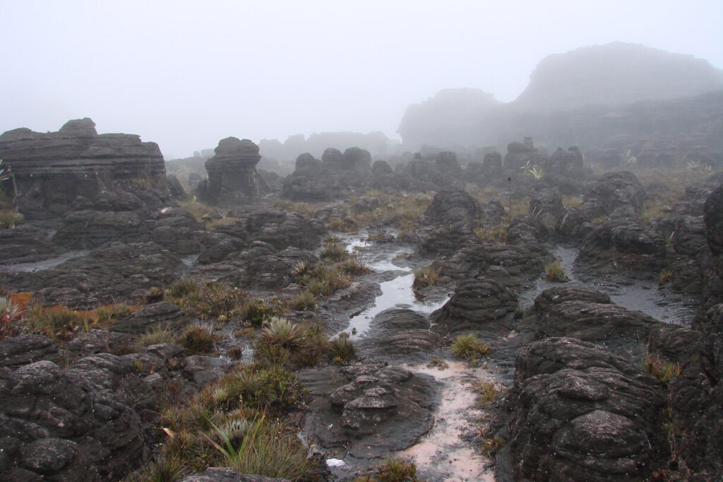 Roraima