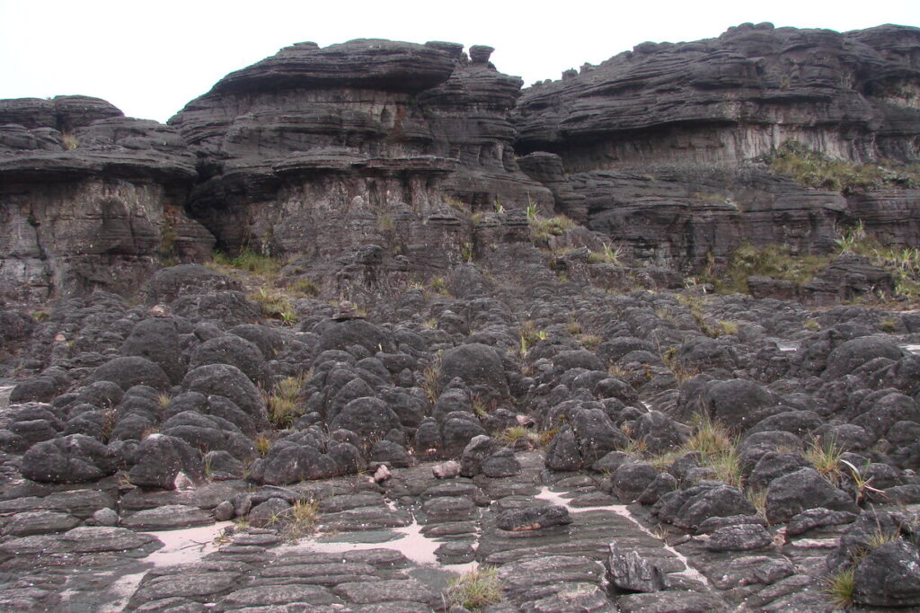 Roraima