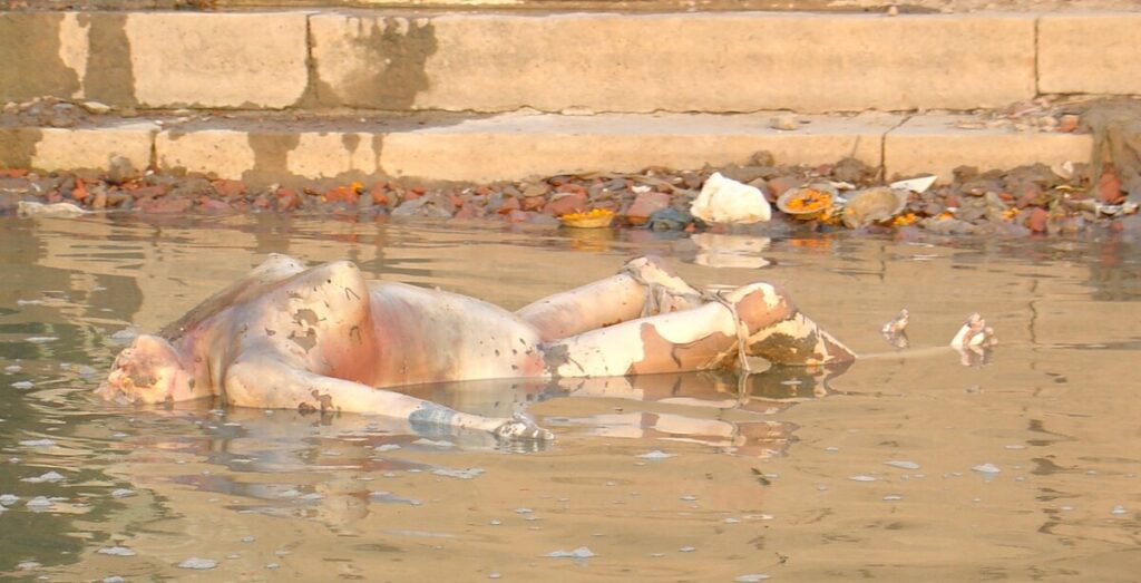 Ganges Varanasi